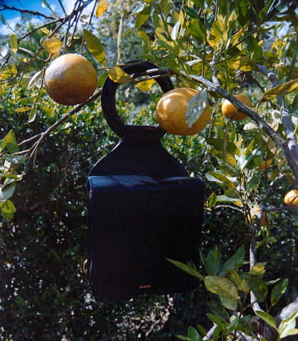 Available for Pre-Order